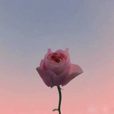 风景图片头像微信头像大全(精选32张)