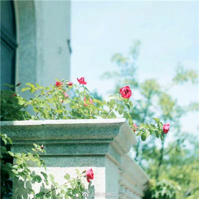 女人吉利健康好运的微信头像(34张)