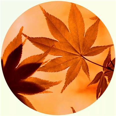 女人吉利健康好运的微信头像(34张)