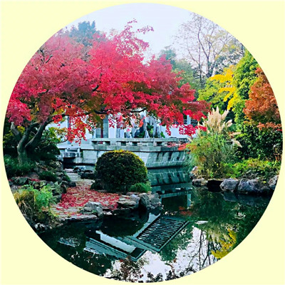 女人吉利健康好运的微信头像(34张)