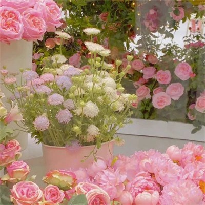 女人吉利健康好运的微信头像(34张)