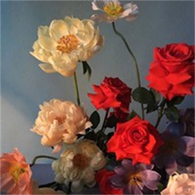 简单的花草微信头像(精选36张)