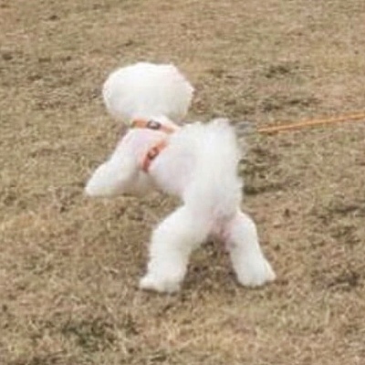 抖音沙雕情头一左一右(精选24张)