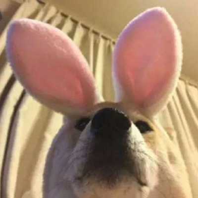 抖音沙雕情头一左一右(精选24张)