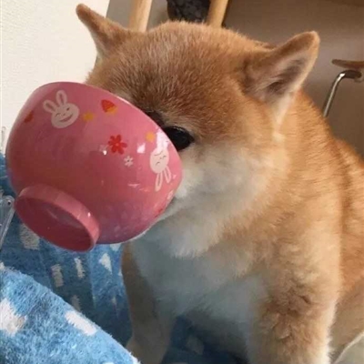 搞怪的情头一对两张图片(精选32张)