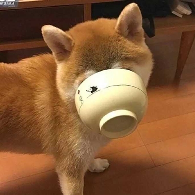 搞怪的情头一对两张图片(精选32张)