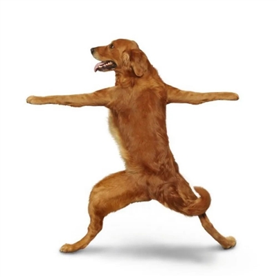 搞怪的情头一对两张图片(精选32张)