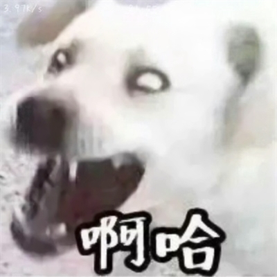 高清搞怪情侣头像(24张)