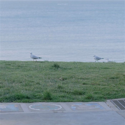 2023年高端有品位的微信头像(精选22张)