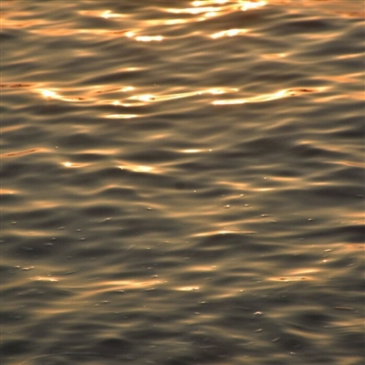 2023年高端有品位的微信头像(精选22张)