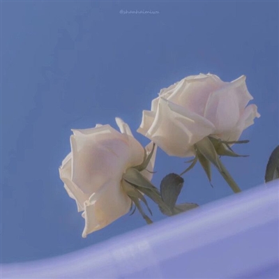 2023年高端有品位的微信头像(精选22张)