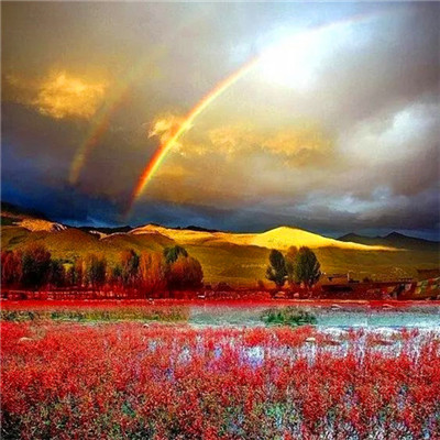 微信头像图片2023最新款打工人(24张)