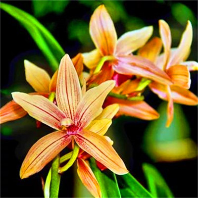 微信头像图片2023最新款打工人(24张)