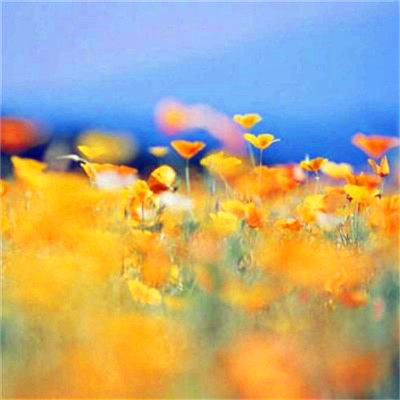 微信头像图片2023最新款打工人(24张)