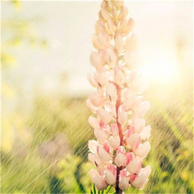 微信头像图片2023最新款打工人(24张)