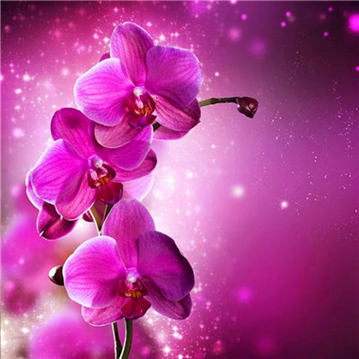 2023格局大气的微信图片(24张)