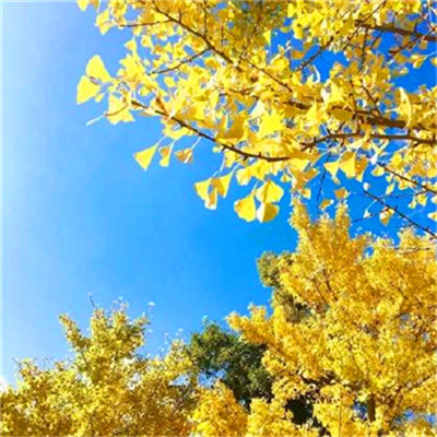 2023格局大气的微信图片(24张)