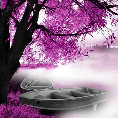 2023格局大气的微信图片(24张)