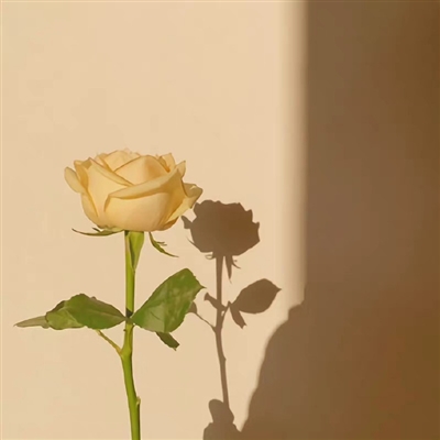 2023格局大气的微信图片(24张)