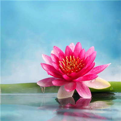 2023格局大气的微信图片(24张)