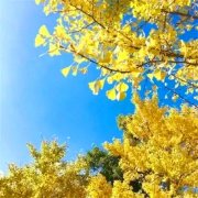 微信头像图片2023年家庭(精选26张)