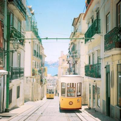 简单干净好看头像2023(精选24张)