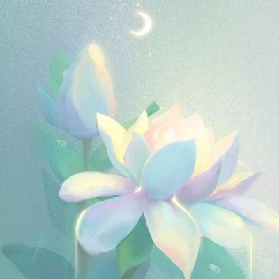 2023新款好看的头像风景(24张)