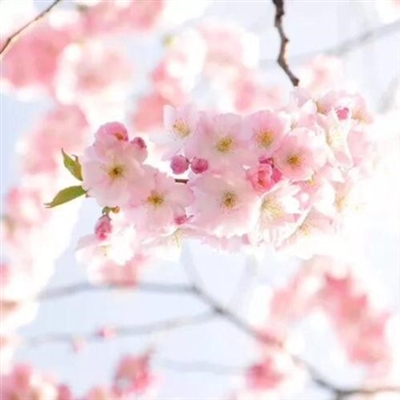 2023新款好看的头像风景(24张)