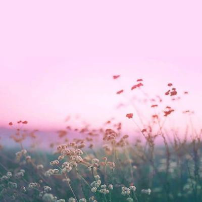 2023新款好看的头像风景(24张)