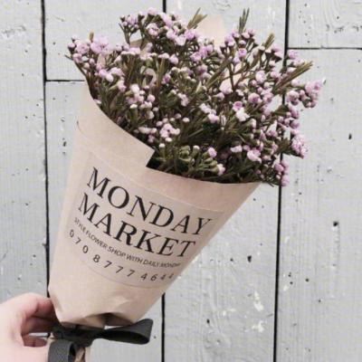 适合做微信头像的图片好运(32张)