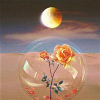 适合做微信头像的图片好运(32张)