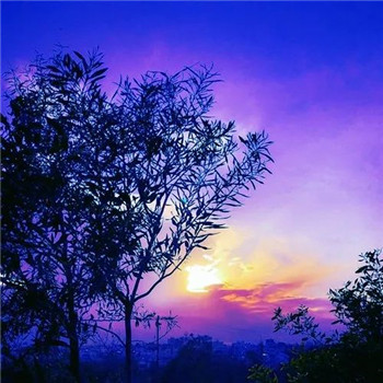 适合做微信头像的图片好运(32张)