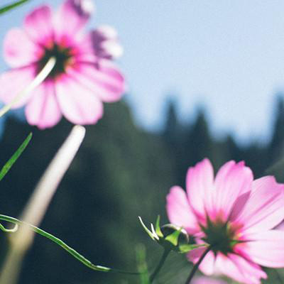 适合做微信头像的图片好运(32张)