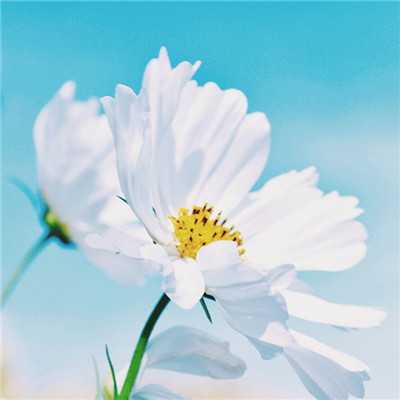 女人招财的微信头像图片高清(精选20张)