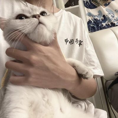 最近很火的摆烂人头像男(精选18张)