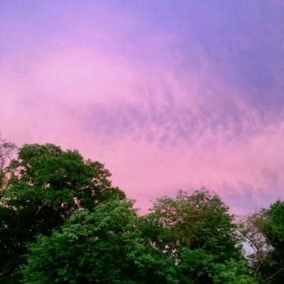 风景带花的好运头像(精选22张)