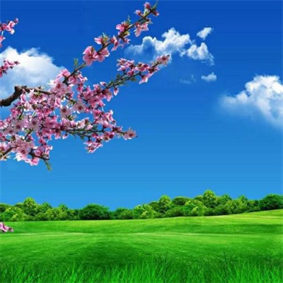 高清唯美的旅游爱好者的头像图片(22张)