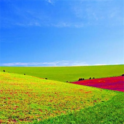 高清唯美的旅游爱好者的头像图片(22张)