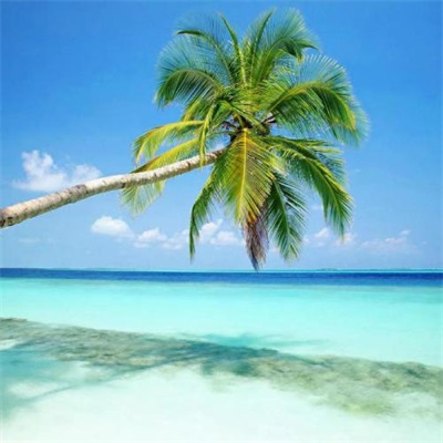 高清唯美的旅游爱好者的头像图片(22张)