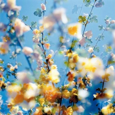 有气质漂亮的头像图片(精选18张)