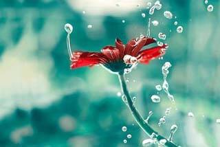 有气质漂亮的头像图片(精选18张)