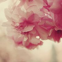 有气质漂亮的头像图片(精选18张)