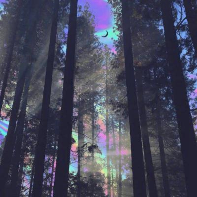 有气质漂亮的头像图片(精选18张)