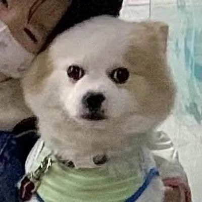 真人情侣头像图片2023年最新头像(精选28张)