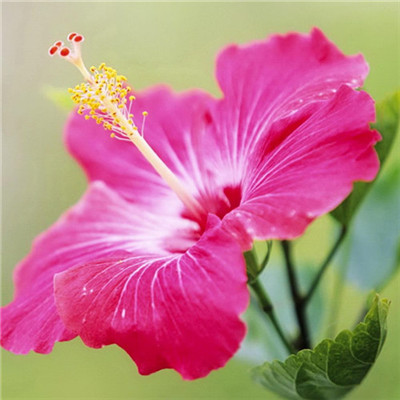 2023年头像图片大全免费(精选24张)