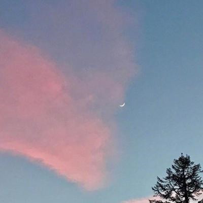 2023年头像图片大全免费(精选24张)