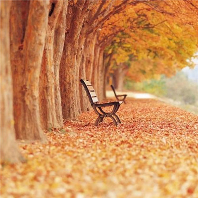 2023最火好看头像(精选24张)