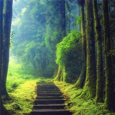 2023最火好看头像(精选24张)