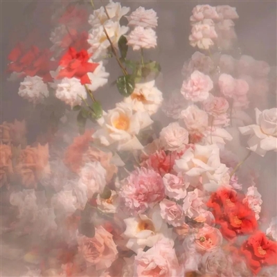 一眼就吸引人的头像可爱(精选24张)