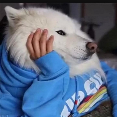 一眼就吸引人的头像可爱(精选24张)